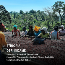 Load image into Gallery viewer, Ethiopia - Deri Kidame 10day Anaerobic