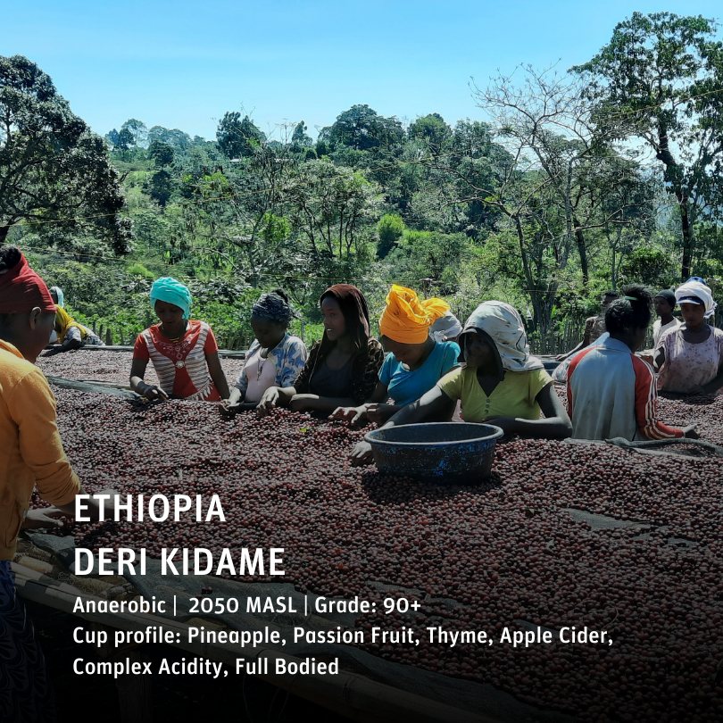 Ethiopia - Deri Kidame 10day Anaerobic