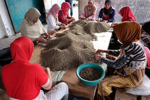 Load image into Gallery viewer, Indonesia  Mount Halu, West Java